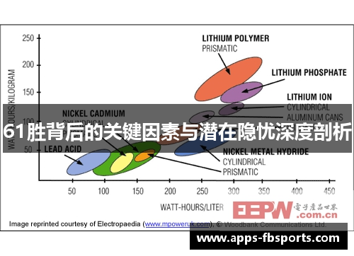 61胜背后的关键因素与潜在隐忧深度剖析