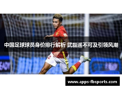 中国足球球员身价排行解析 武磊遥不可及引领风潮