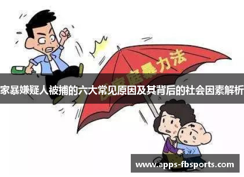 家暴嫌疑人被捕的六大常见原因及其背后的社会因素解析