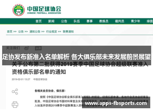 足协发布新准入名单解析 各大俱乐部未来发展前景展望