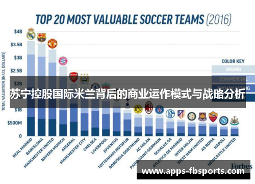 苏宁控股国际米兰背后的商业运作模式与战略分析